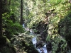 DSC_0621 DSC_0621