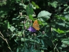 DSC_0839 DSC_0839