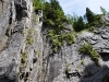 DSC_0313 DSC_0313