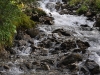 DSC_0371 DSC_0371