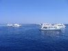 Tauchferien in Sharm el Sheik Tauchferien in Sharm el Sheik