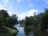 Schwanenteich im Schlosspark Schwanenteich im Schlosspark