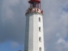 Leuchtfeuer Dornbusch Leuchtfeuer Dornbusch