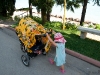 Ferien am Gardasee Ferien am Gardasee