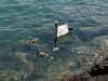 Ferien am Gardasee