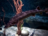 SeaLife SeaLife