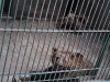 Zoo Split Zoo Split