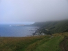 IMG_4162 IMG_4162