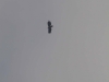 IMG_4188 IMG_4188