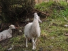 DSC_0788 DSC_0788