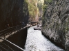 Aareschlucht 2004