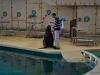 Seelöwenshow im Kinderzoo Seelöwenshow im Kinderzoo